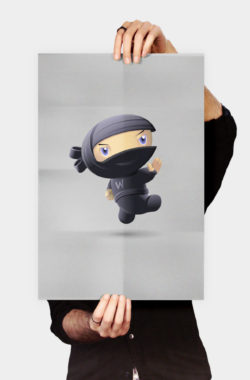 Flying Ninja Poster